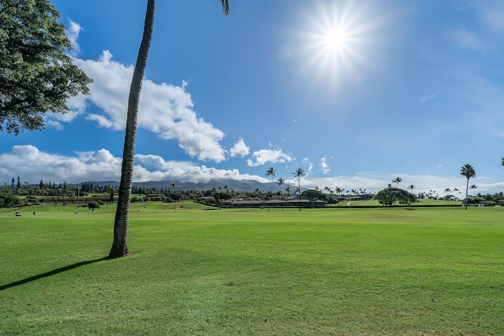 Eldorado E102 in Kaanapali