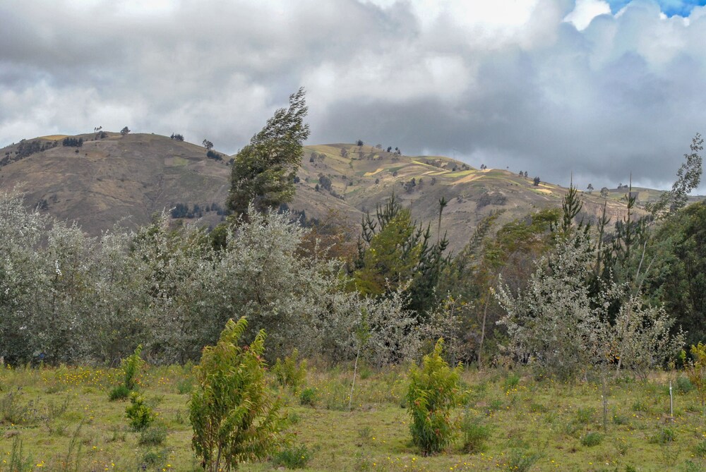 Bella Vista Pujili
