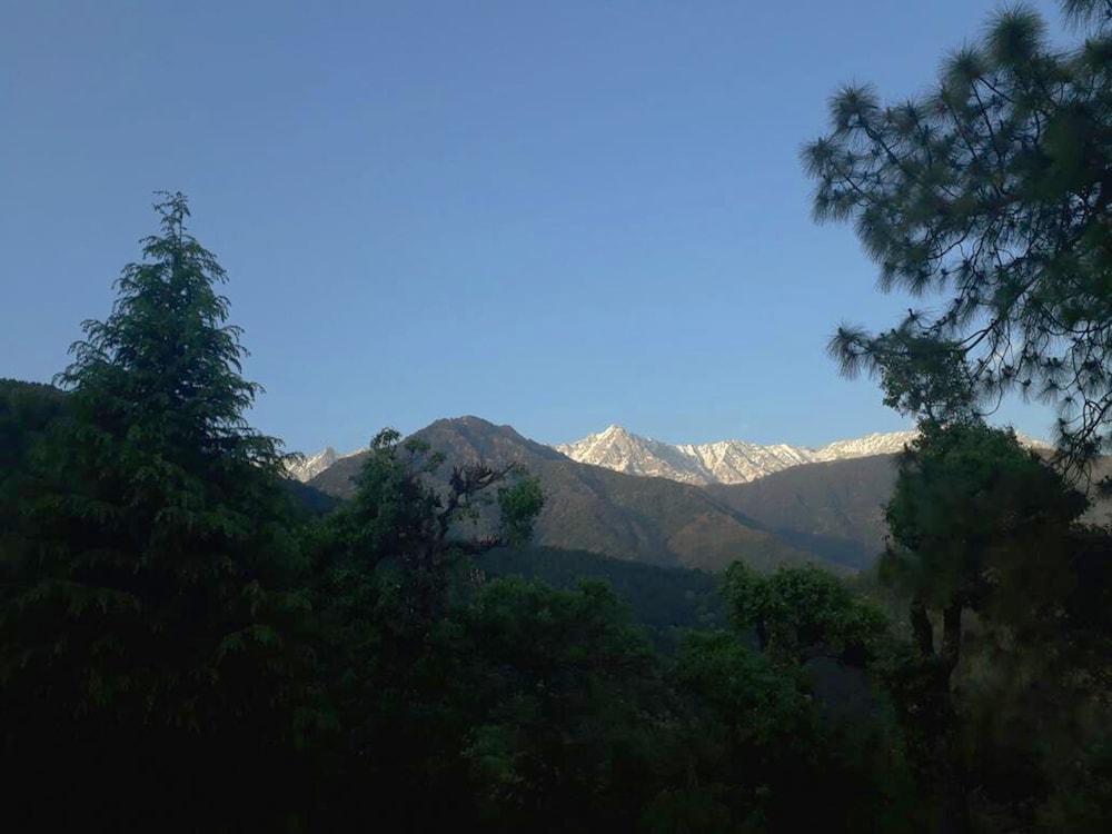 Photo 6