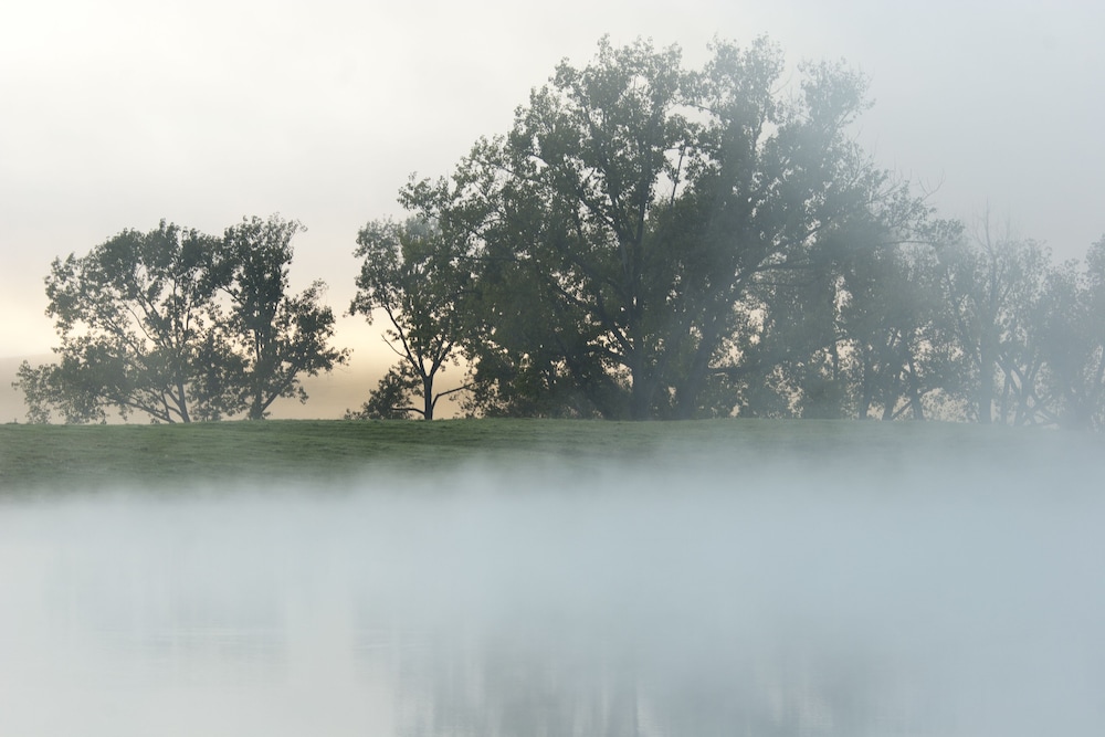 Whispering Waters