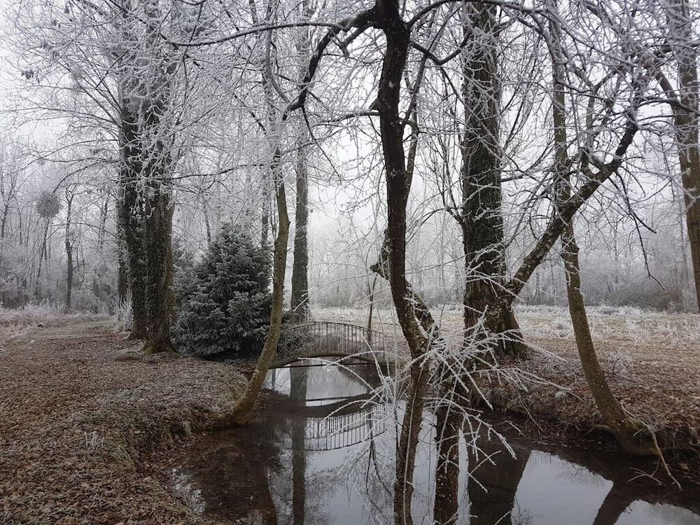 Le Parc des Aubiers view 3