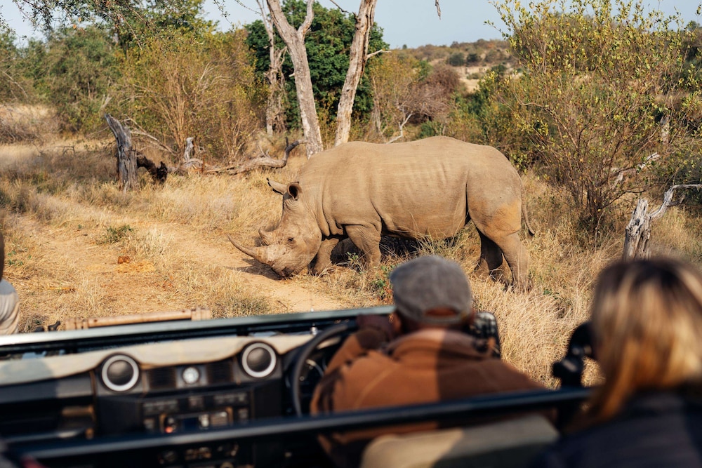 Simbavati River Lodge