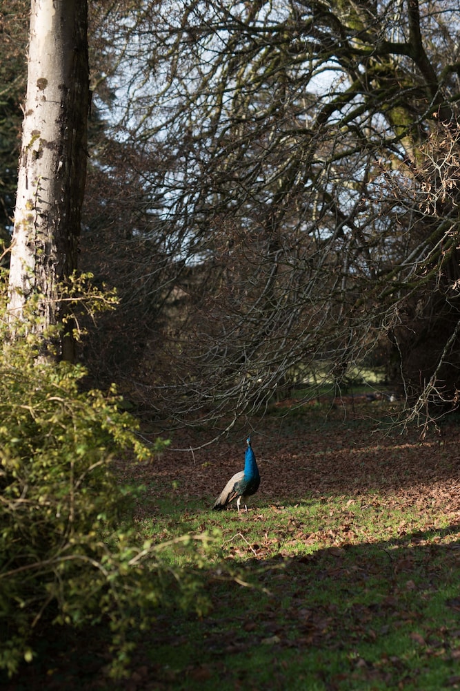 Lough Bawn House