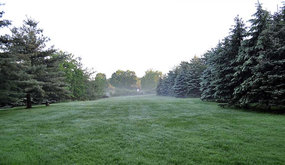 Ash Mill Farm Bed & Breakfast