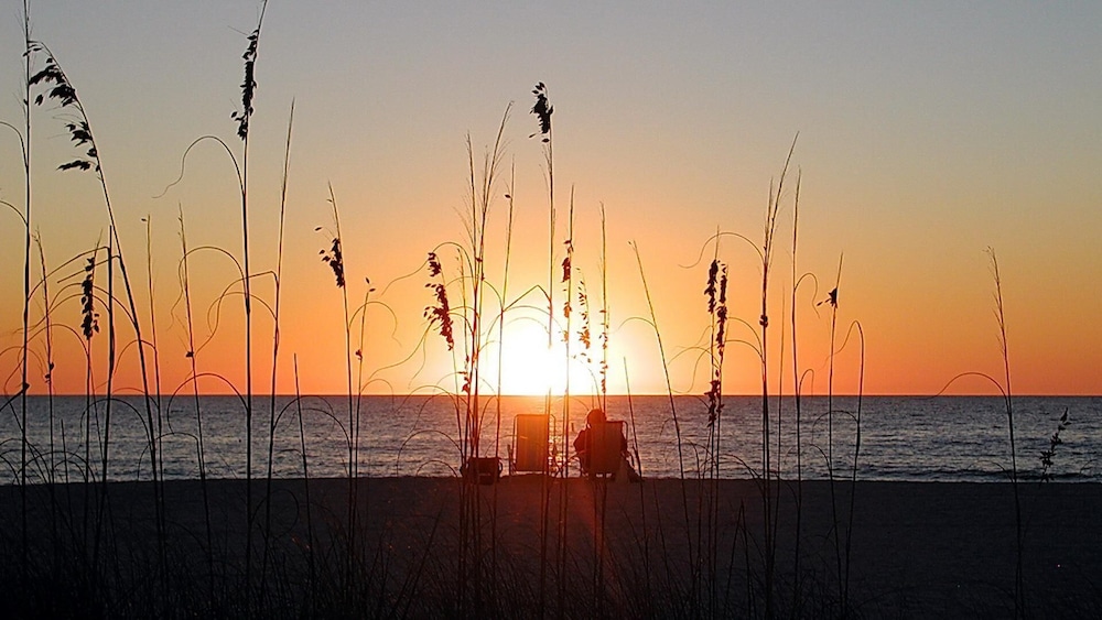 Sand Dollar 107