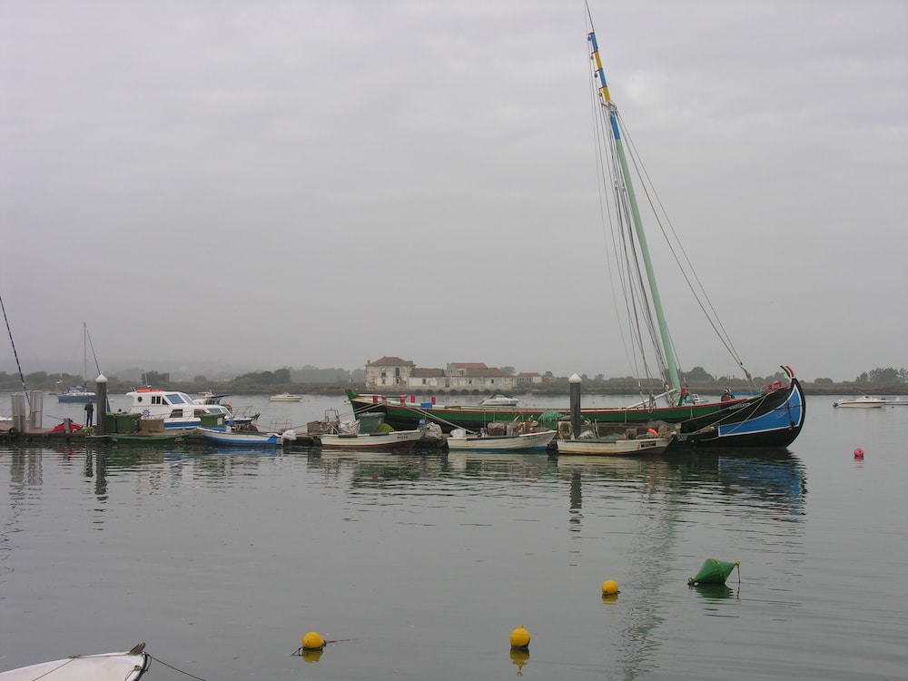 The Boat