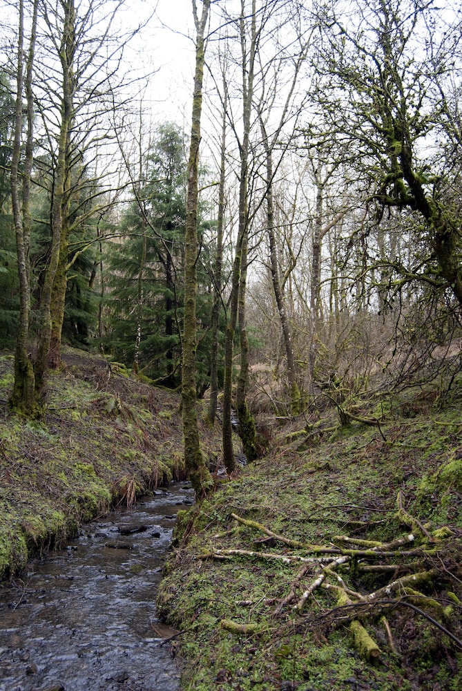 Llethrau Farm