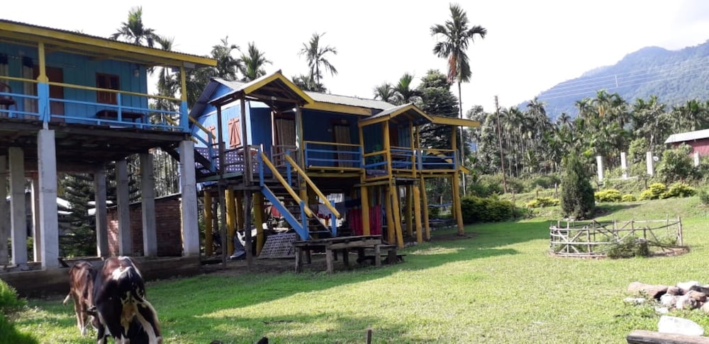 Mountain View Home stay Alipurduar view 3