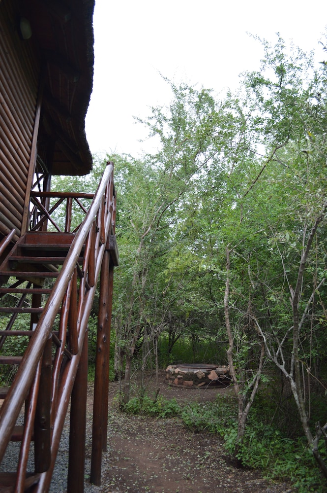 Lion Tree Bush Lodge