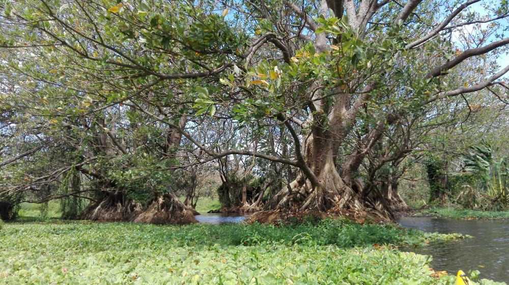 Photo 17
