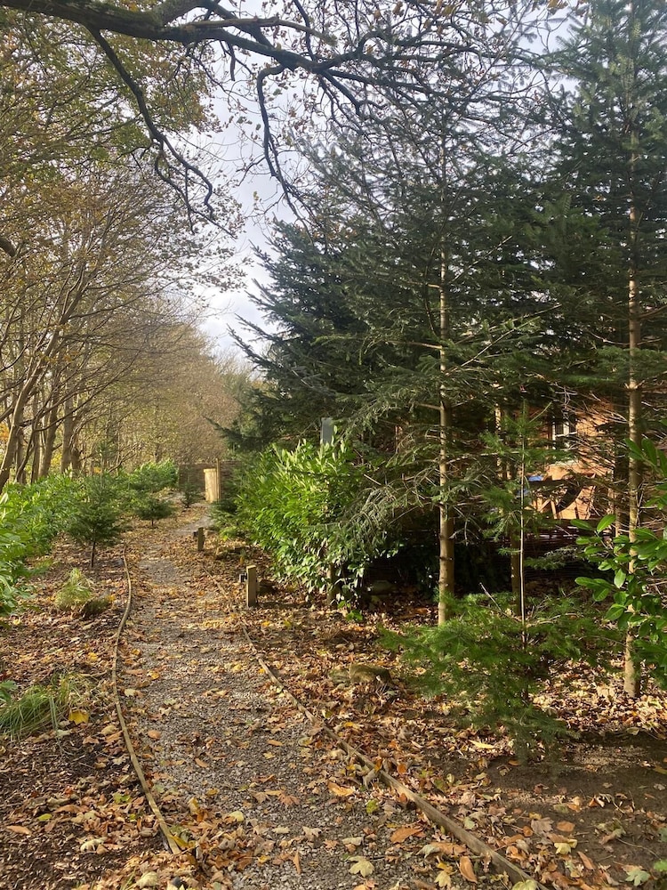 Hayne Barn Estate - Private Estate : 6 Eco Lodges - 1 Studio