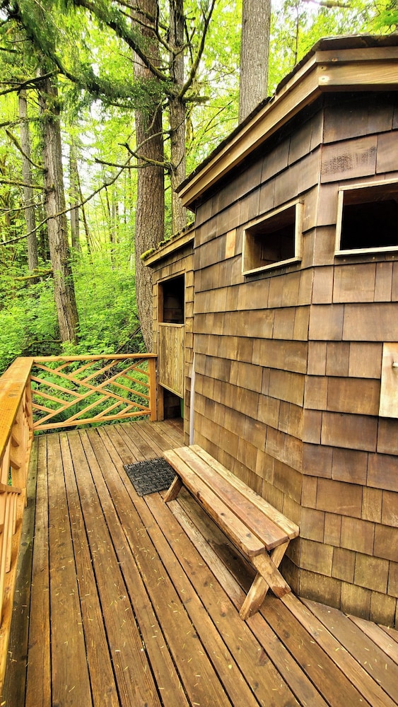 Welch Cabin - A License to Chill