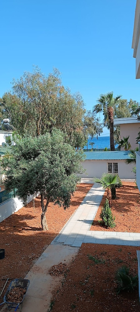 Photo 42