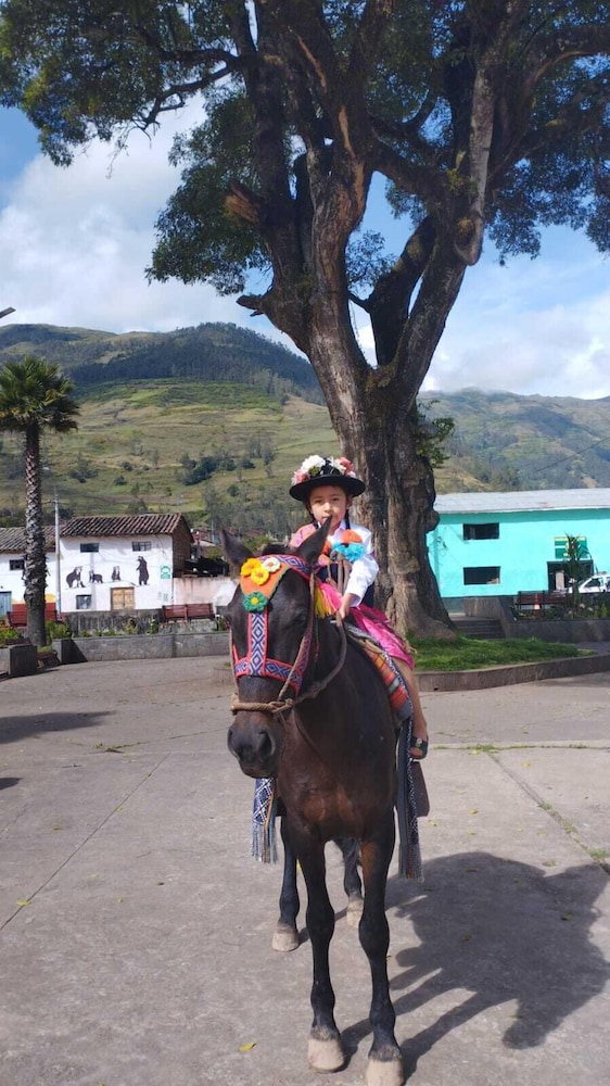 the wooden house choquequirao