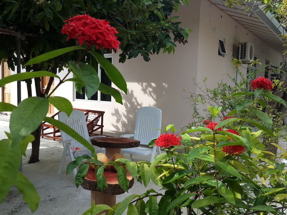 Summer Home