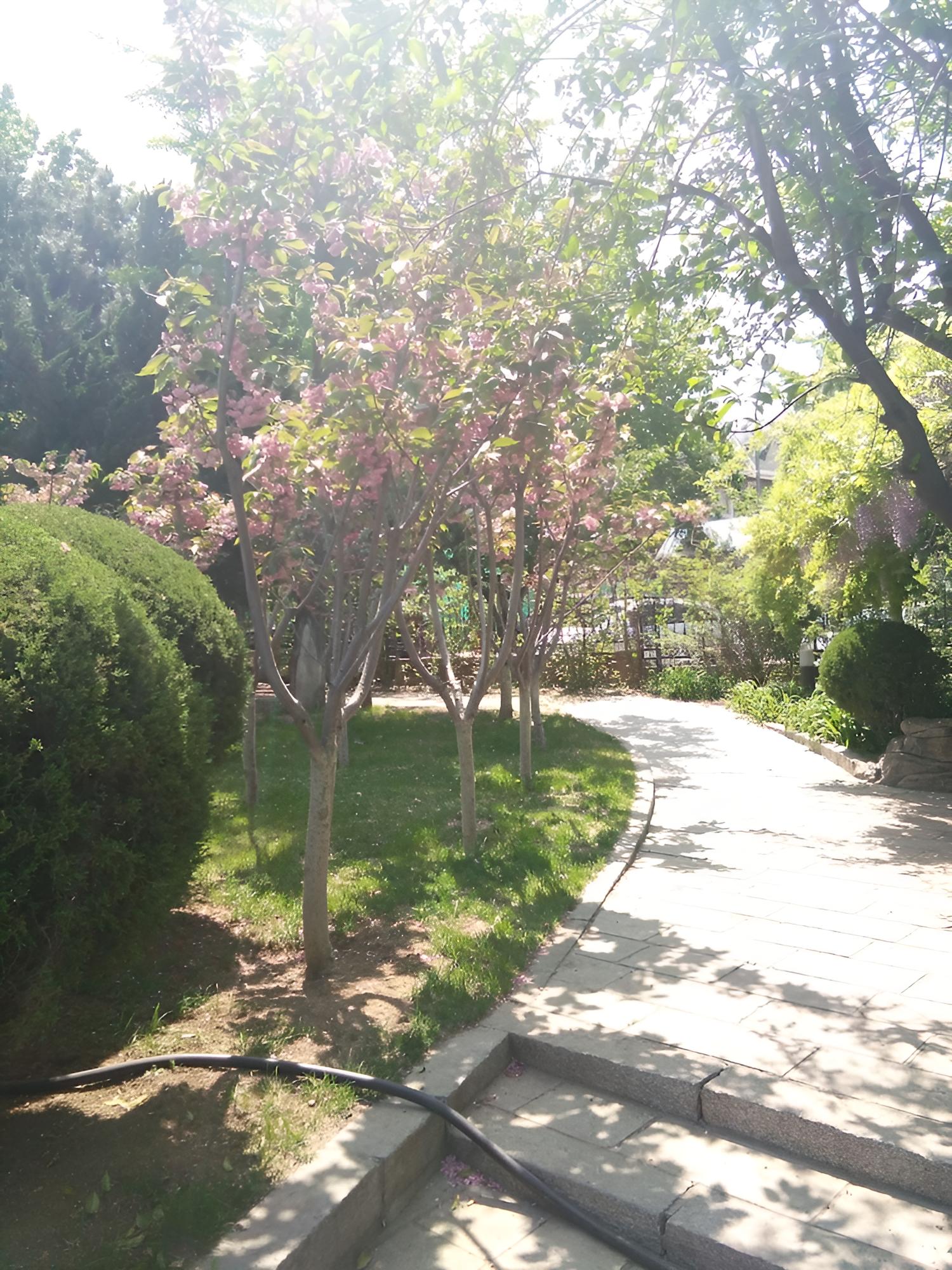 Dalian Nanshan Garden Hotel