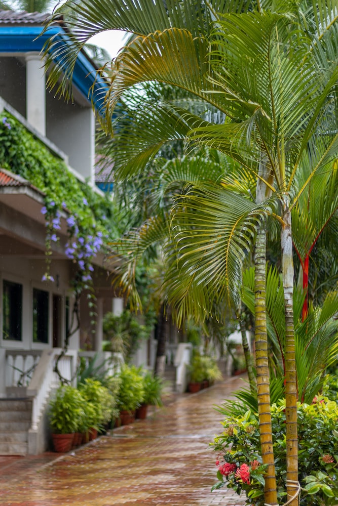 Nexstay Aromiaa Villas - Baga