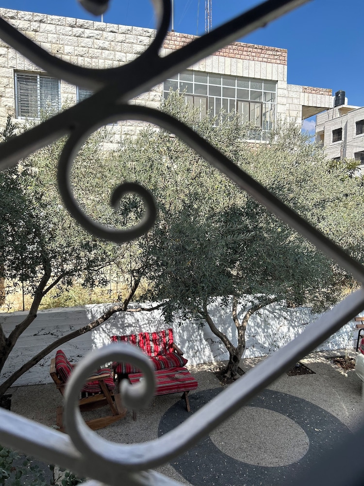 OliveTreeHostel, photo 30