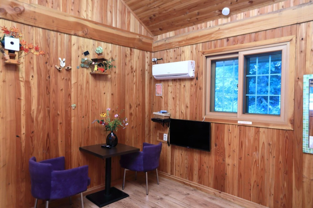 Wonju Chiak Mountain Club Pension