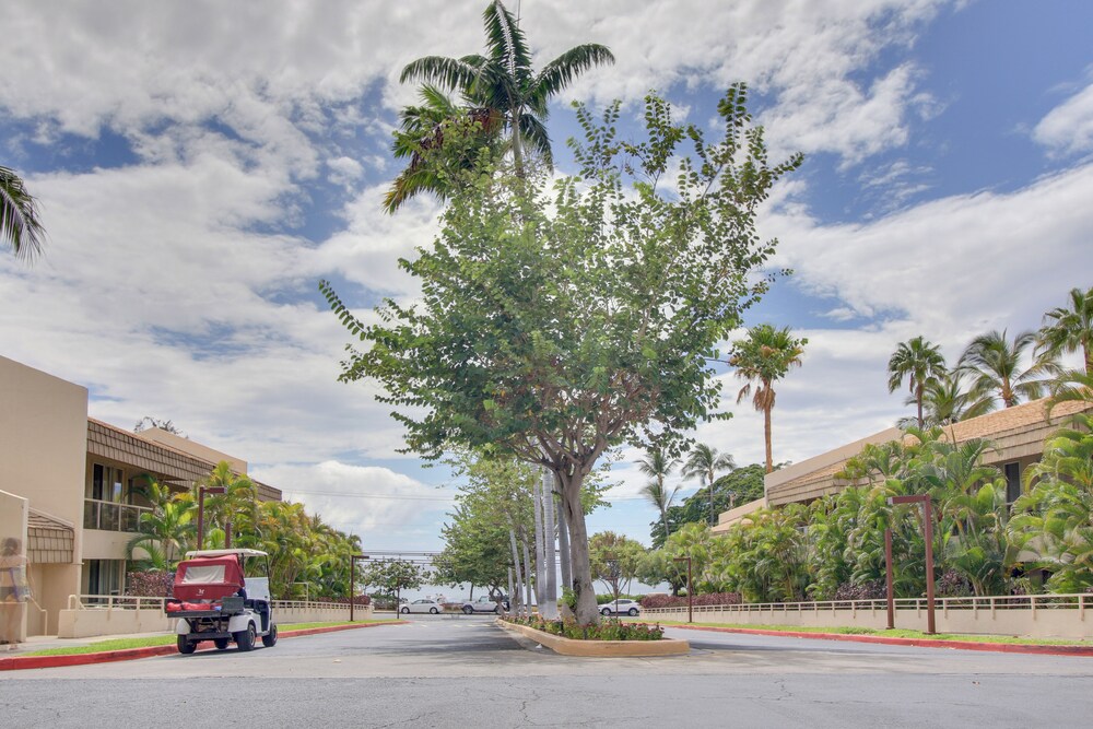 Kihei Beach Retreat w/ Pool Access, Walk to Shore! view 5