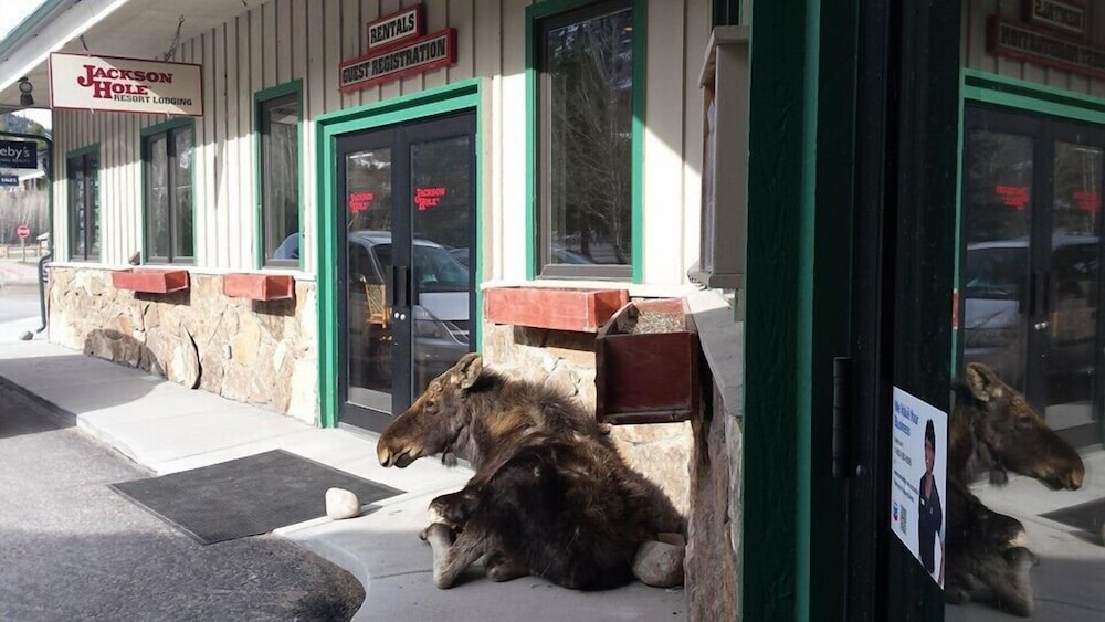 Teton Village Vacations - Teton Village Condos Collection by JHRL - Property Image 3