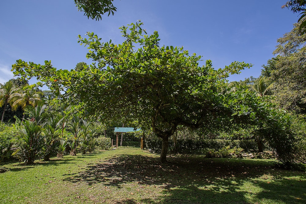 La Finca Chica