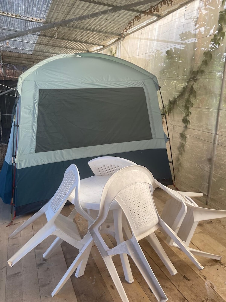Agrocamping Invernaderito