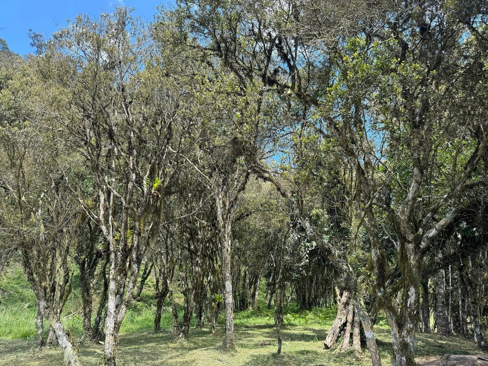 Vila Vert - Rancho Queimado - SC