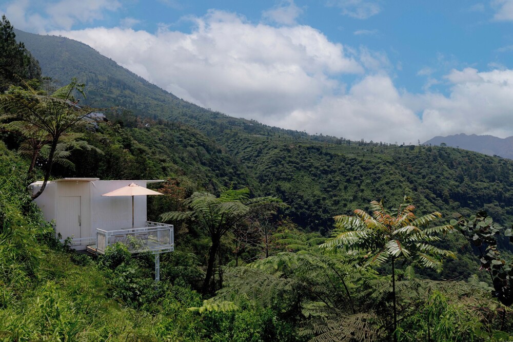 Fortune Glamping