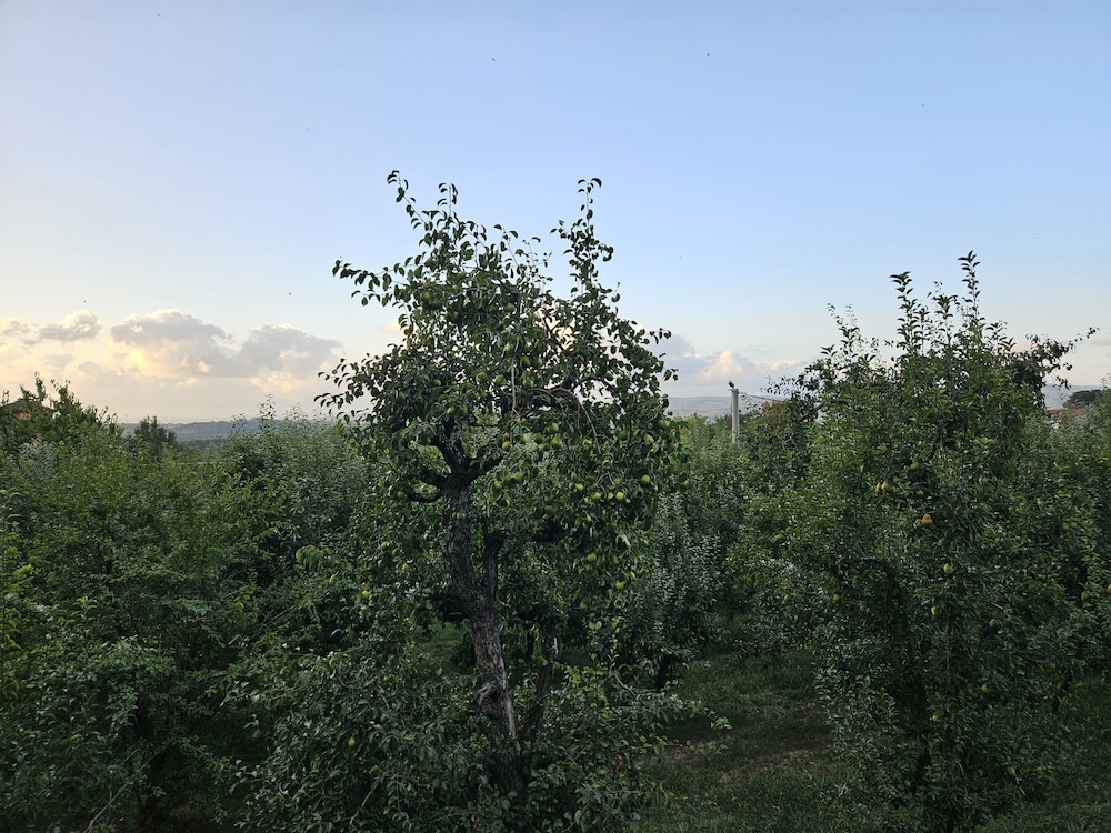 Teona Kartepe Bungalov view 2