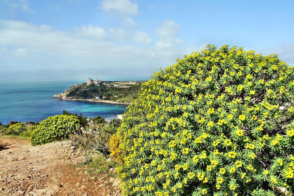 8 Ala Birdi Cottage 150m From The Beach photo 4