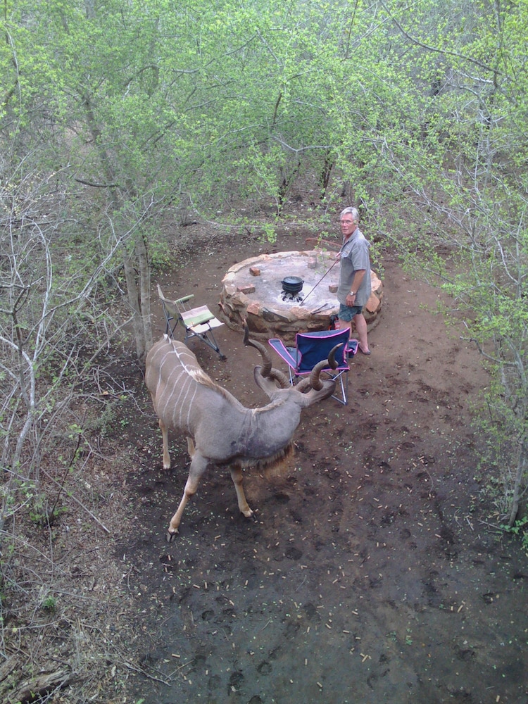 Lion Tree Bush Lodge