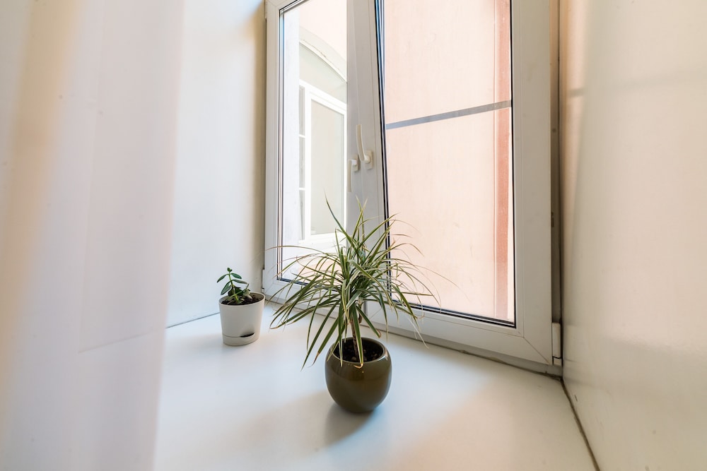 Apartaments Frant