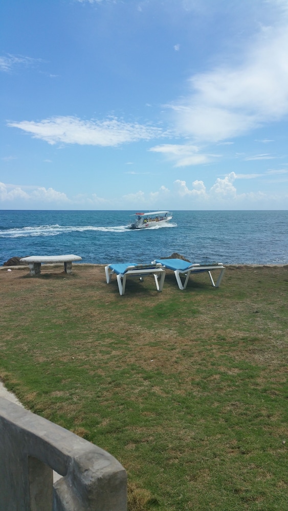Seapalms