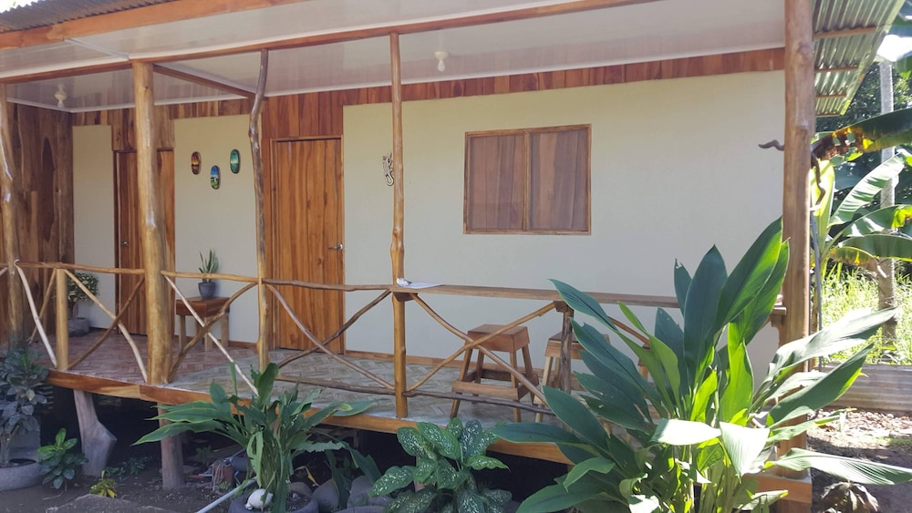 El Gecko view 5