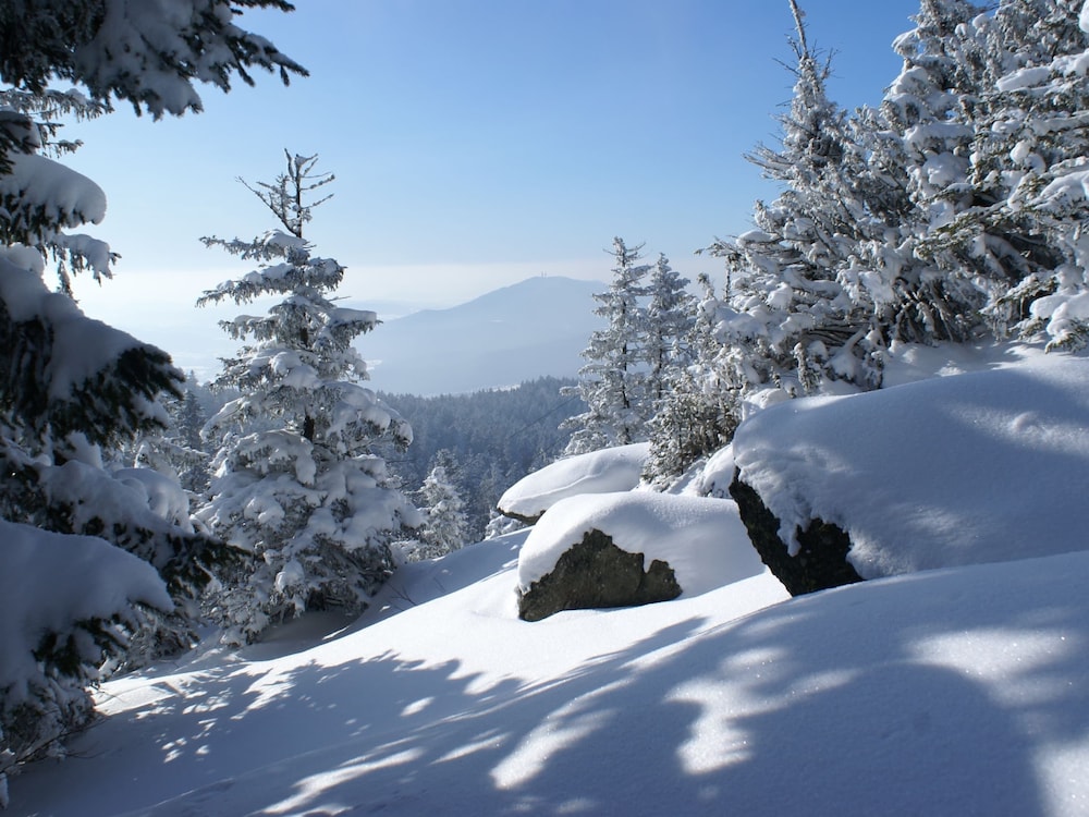 Comfort Apartment With Balcony in the Beautiful Bavarian Forest