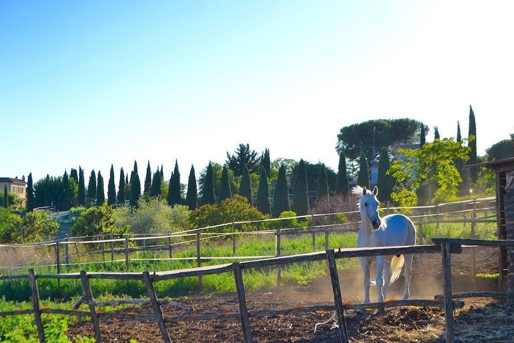 Ars Naturae Biologic Farm