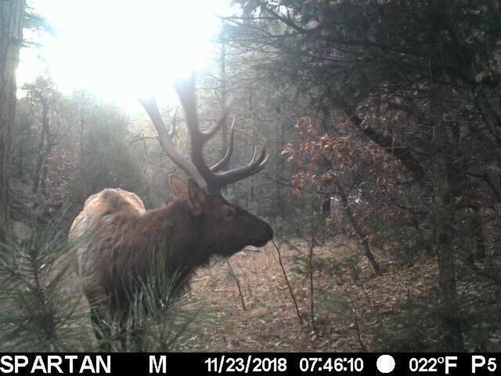 other