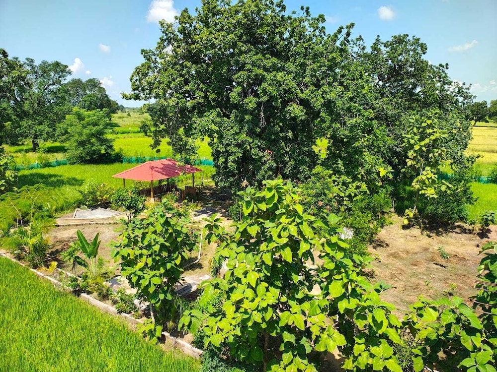 Shivansh Agro Tourism And Home stay