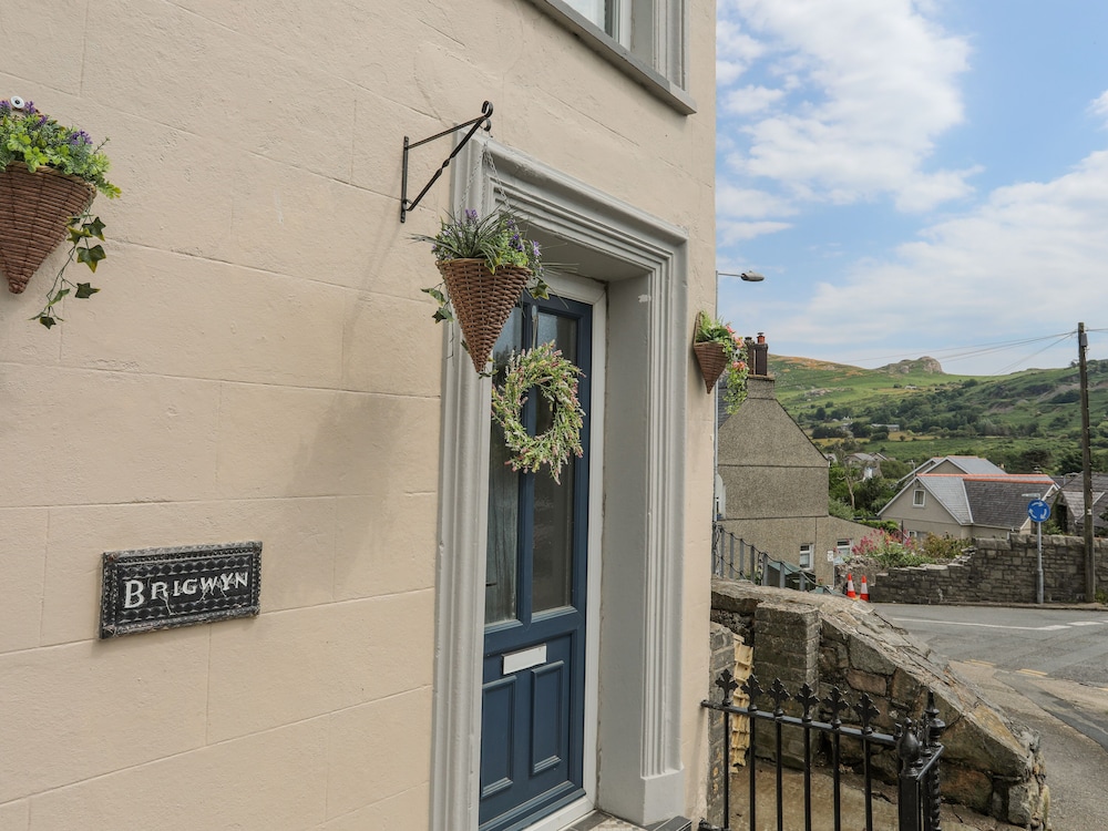 Brigwyn