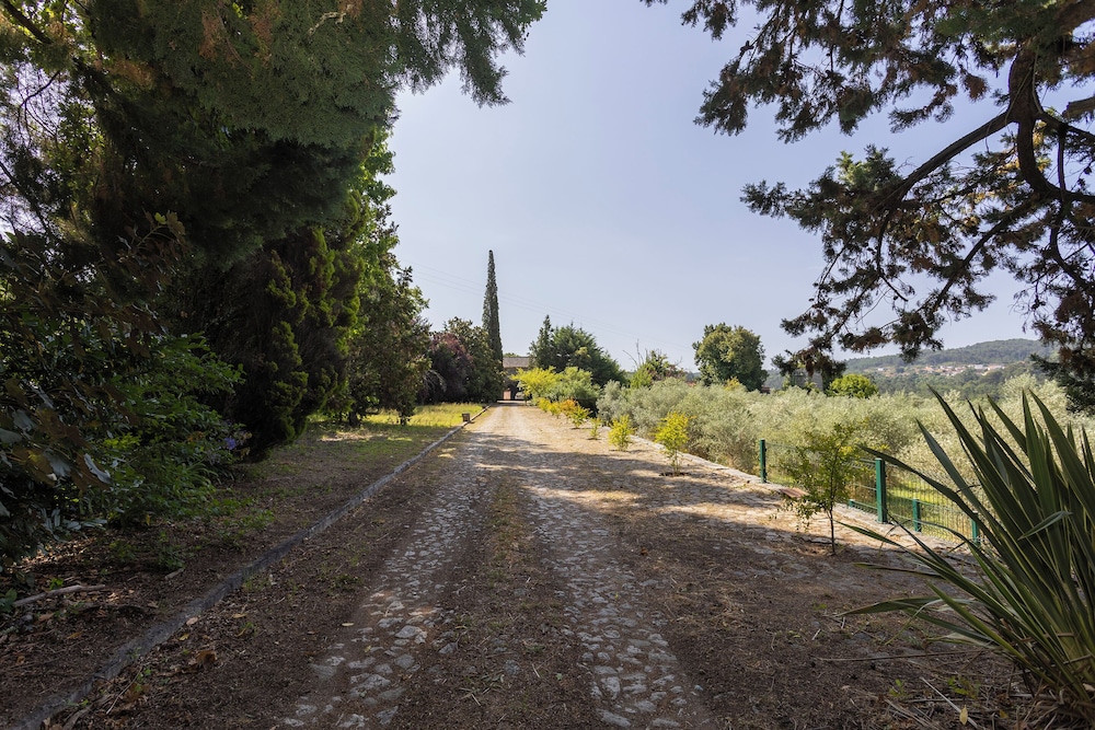 Quinta da Comenda - Casa da Tuia