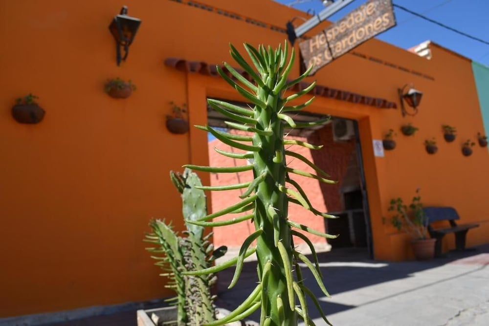 Hospedaje los cardones