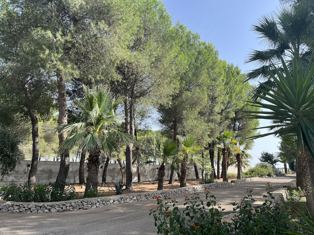 Masseria La Camardia