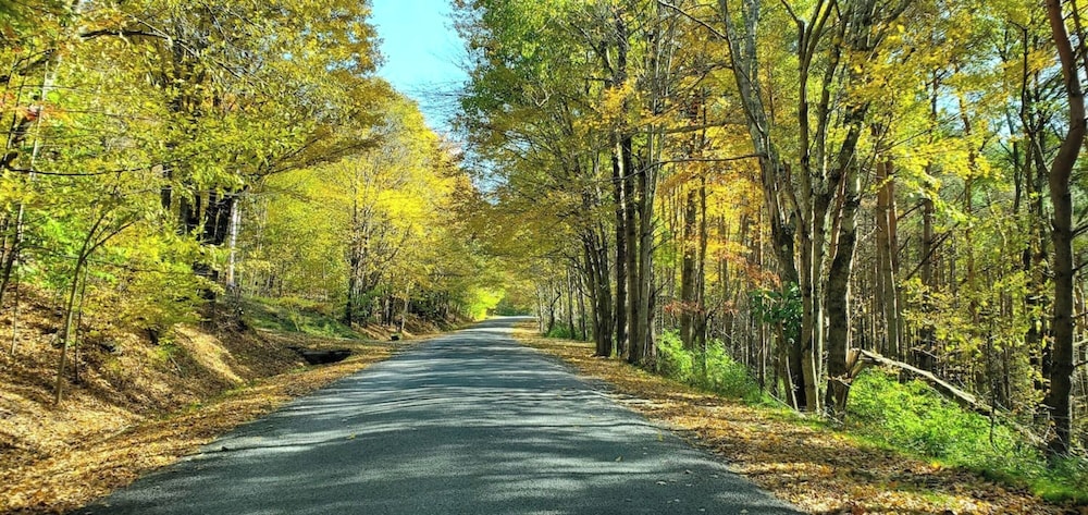 Catskill Retreat