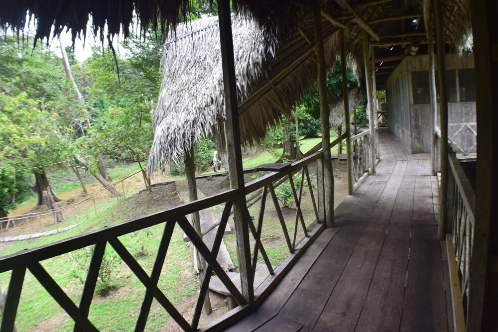 Jungle Wolf Expeditions