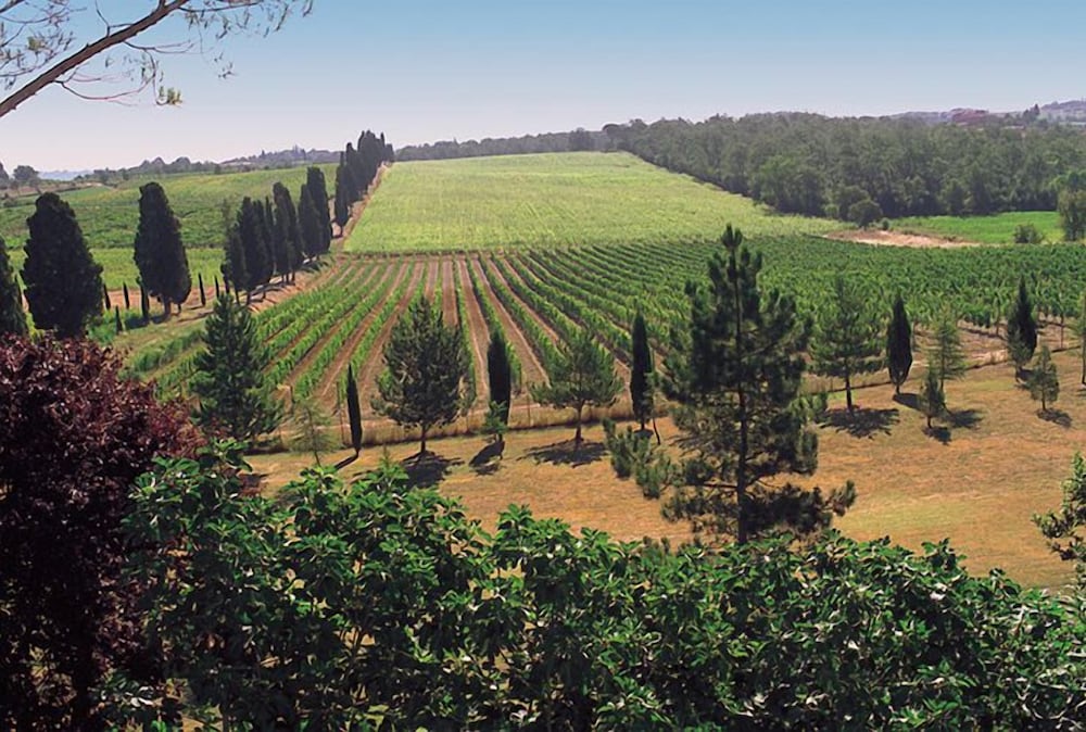 La Casalta