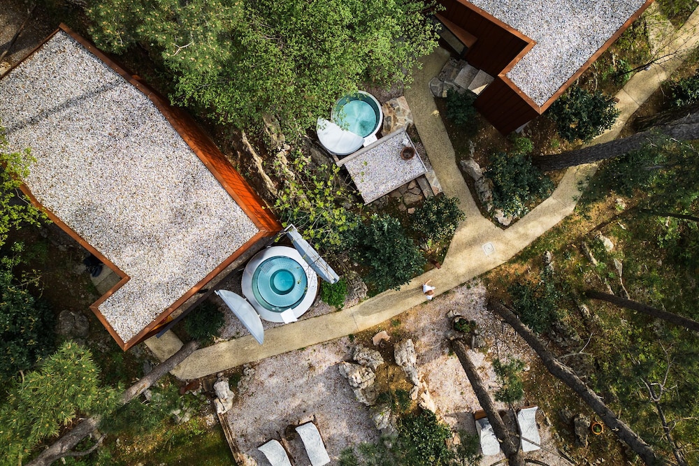Theodosius forest village Vipava
