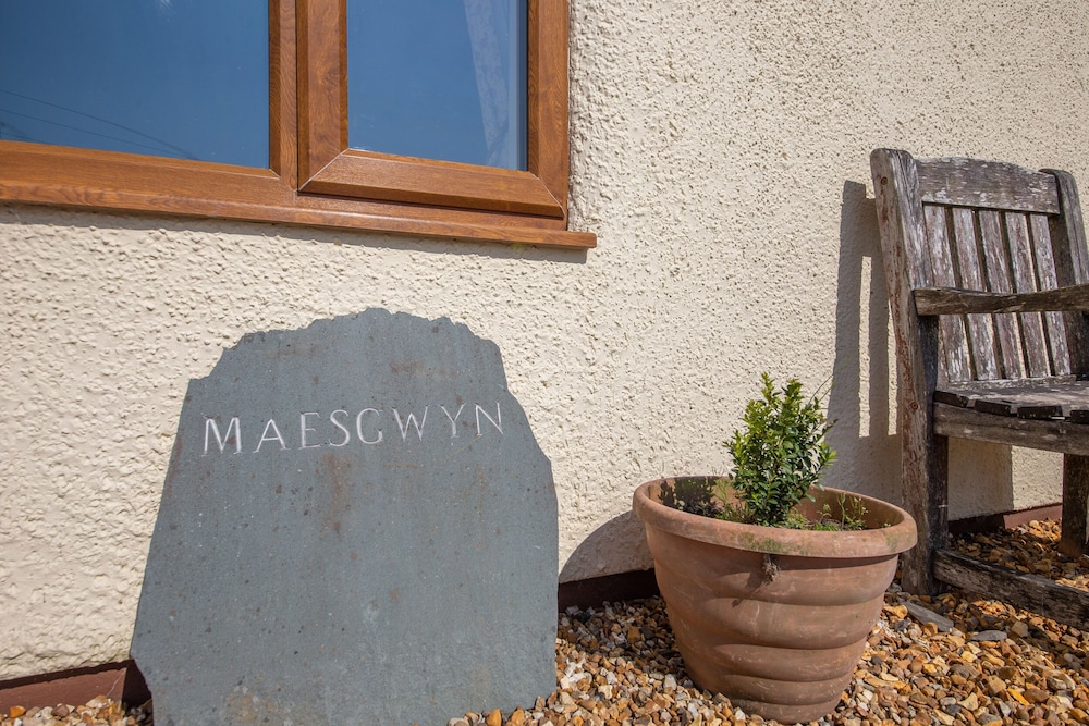 Maesgwyn
