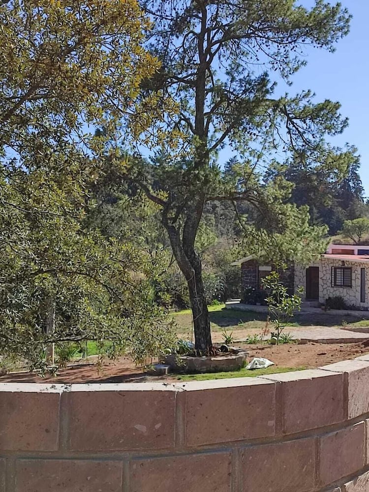 Finca Mayorga