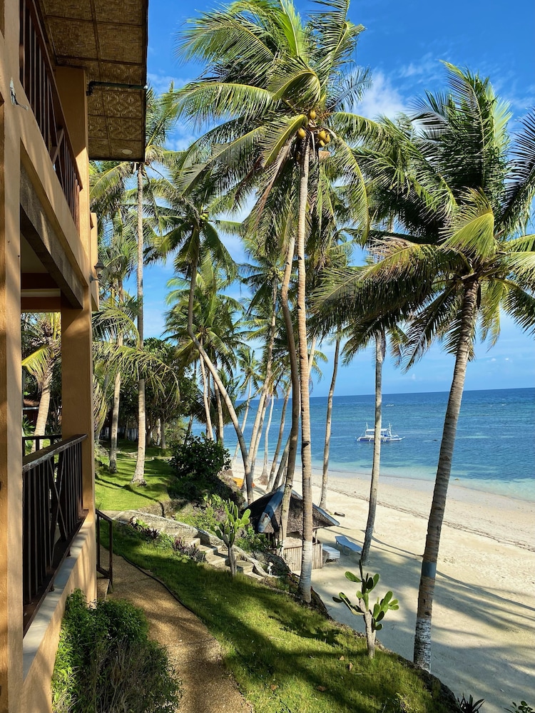 Anda White Beach Resort 69